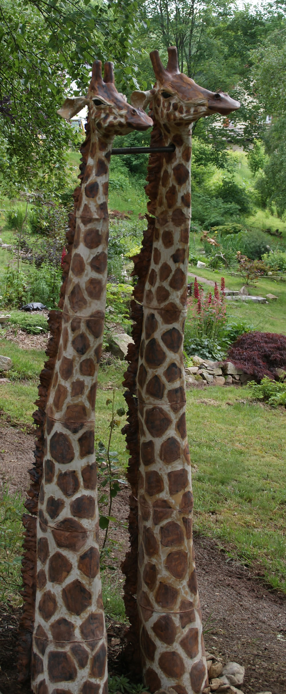 Girafes